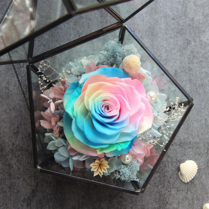 Imported Rainbow rose Spend eternity Preserved Flowers new year Valentine's Day gift Send his girlfriend high-grade thickening Glass Greenhousein the Flower delivery/Flowers simulation/Plants gardening , Spend eternity/Dried flowers , Spend eternity category - from Buy2taobao.com to provide professional Taobao agent buy service