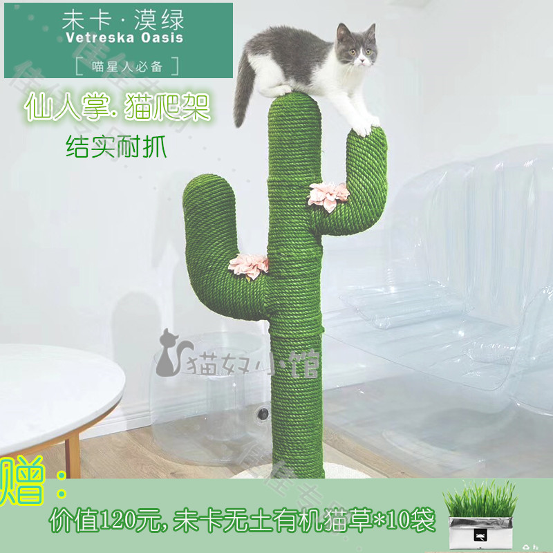 【貓奴小館】Vetreska漠綠仙人掌貓爬架貓窩貓樹貓抓板貓抓柱新品在類目 寵物/寵物食品及用品, 貓/狗玩具, 貓爬架中 - 來自Buy2taobao.com提供專業的淘寶代購服務