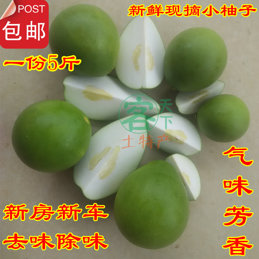 5斤包邮新鲜沙田柚子皮现摘小柚子 新房装修去味新车除味空气净化在类目 水产肉类/新鲜蔬果/熟食, 新鲜水果, 柚子中 - 来自Buy2taobao.com提供专业的淘宝代购服务