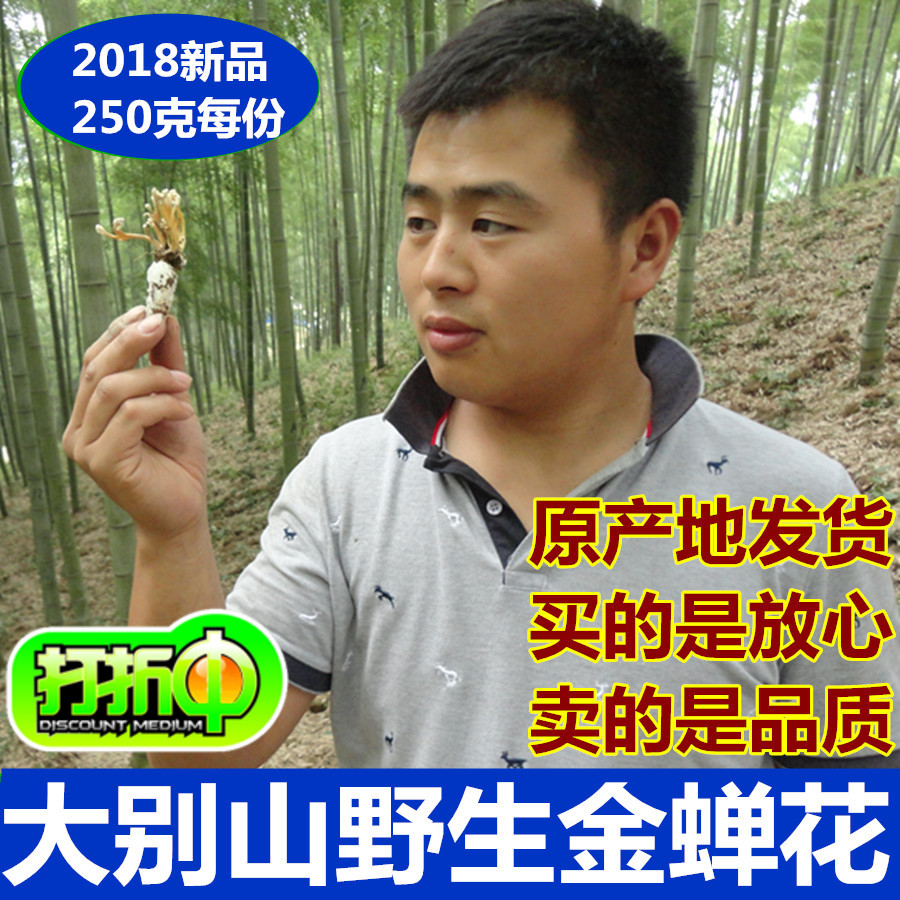 2018年大别山区野生金蝉花 竹海金蝉花 蛹虫草 蝉花虫草 包邮250g在类目 传统滋补营养品, 其他传统滋补品, 金蝉花中 - 来自Buy2taobao.com提供专业的淘宝代购服务