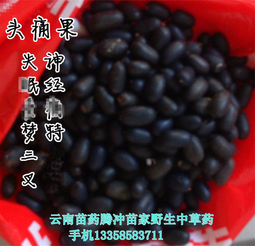 头痛果:云南苗家腾冲特产 头晕三叉神经偏头痛中草药500克中药材|ruв категории традиционные питательный пища, другие традиционные тоник, другие традиционные тоник - от Buy2taobao.com для оказания профессиональной услуги покупки агента Taobao