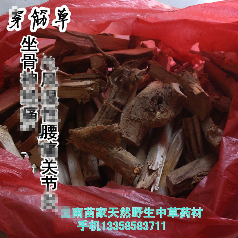 穿筋草/坐骨:云南特产神腾冲苗家野生中草药经 中药材泡药酒料痛|msdalam kategori makanan berkhasiat tradisional, Lain tonik tradisional, Lain tonik tradisional - dari Buy2taobao.com untuk memberikan perkhidmatan ejen Taobao profesional membeli