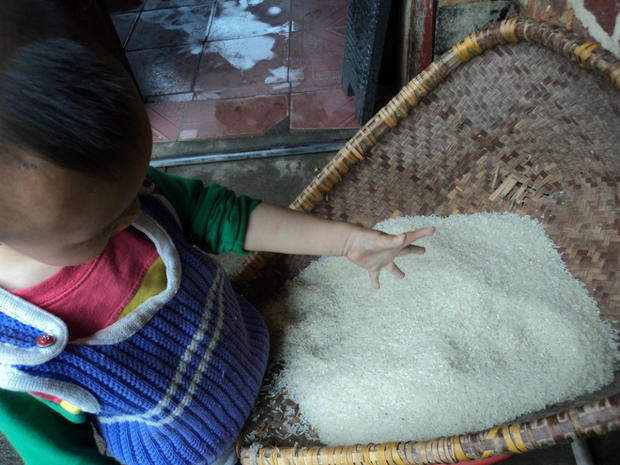 Germ Glutinous rice Farm Production fragrant glutinous rice Long rice Dragon boat festival Zongzi Rice Wine White rice glutinous rice Jiangxi Provincein the Agri rice/Dried foods/Condiment , Meter/Flour/Grains , Rice , Polished glutinous rice category - from Buy2taobao.com to provide professional Taobao agent buy service