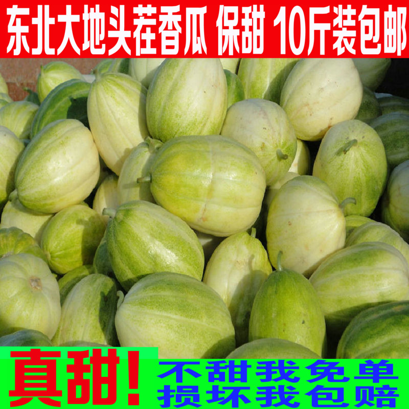 香瓜东北香瓜京蜜白糖罐香瓜新鲜的甜瓜比羊角蜜瓜甜净重10斤装|ruв категории водной мясо/свежие фрукты и овощи/еда, свежие фрукты, другие - от Buy2taobao.com для оказания профессиональной услуги покупки агента Taobao