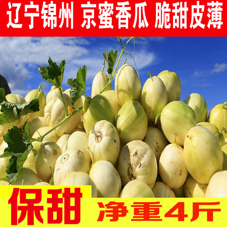 东北香瓜 京蜜香瓜 蜜糖罐白糖罐当季新鲜小甜香瓜脆甜 净重4斤瓜|ruв категории водной мясо/свежие фрукты и овощи/еда, свежие фрукты, другие - от Buy2taobao.com для оказания профессиональной услуги покупки агента Taobao