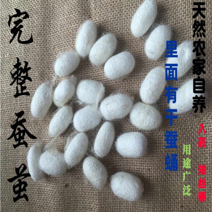 Farm natural Silkworm cocoon Dry 1 pounds 500g Ganjian Flood damage Medicine Silkworm cocoon Medical Silkworm cocoon Silkworm chrysalisin the Makeup/Perfume/Beauty tools , Other Beauty Tools , Makeup/Beauty Tools category - from Buy2taobao.com to provide professional Taobao agent buy service