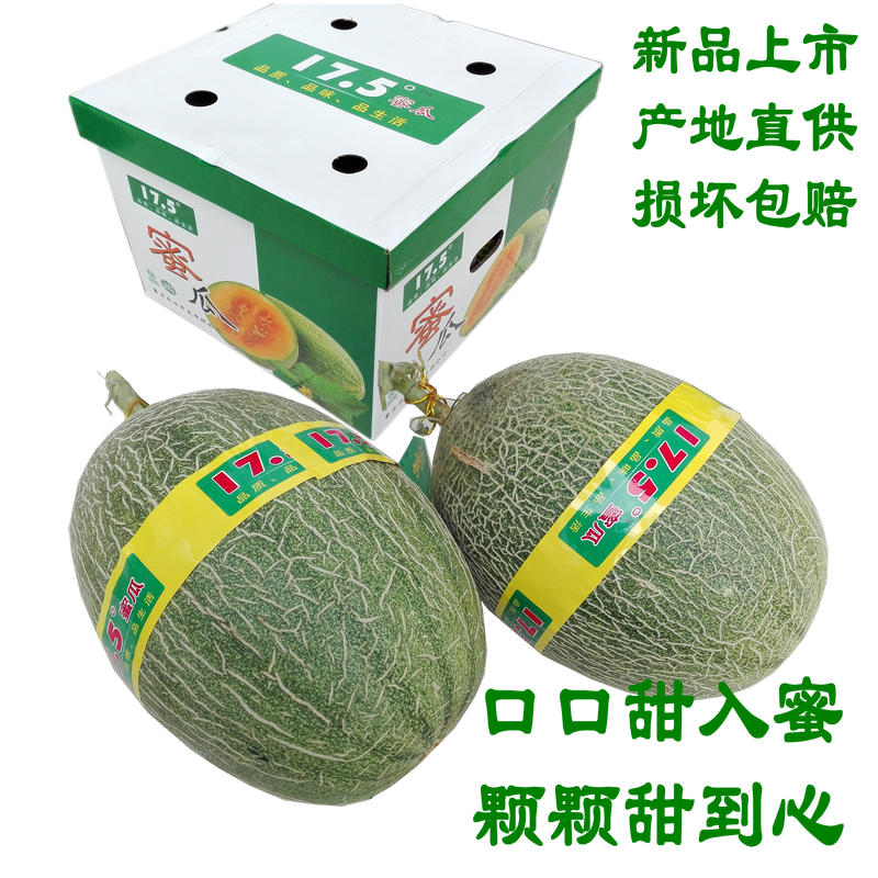 Fresh fruit 17.5 Cantaloupe Xi Zhou Melon Xinjiang Netted melons muskmelon 2 Shunfengin the Aquatic meat/Fresh fruits and vegetables/Cooked , Fresh fruit , Cantaloupe category - from Buy2taobao.com to provide professional Taobao agent buy service