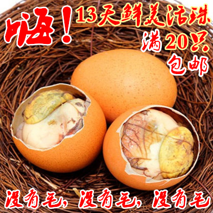 Chick egg 20 Dragon Phoenix Guinea fowl 13 Live beads Wang eggs Hi egg balutin the Aquatic meat/Fresh fruits and vegetables/Cooked , Egg/Egg Products , Fresh eggs , Eggs category - from Buy2taobao.com to provide professional Taobao agent buy service