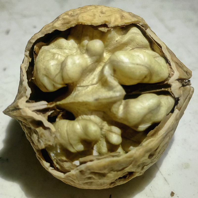 雲南薄皮核桃新貨原味500G散裝5斤包郵 賓川101壹級手剝幹核桃散在類目 零食/堅果/特產, 山核桃/堅果/炒貨, 紙皮/薄皮核桃中 - 來自Buy2taobao.com提供專業的淘寶代購服務