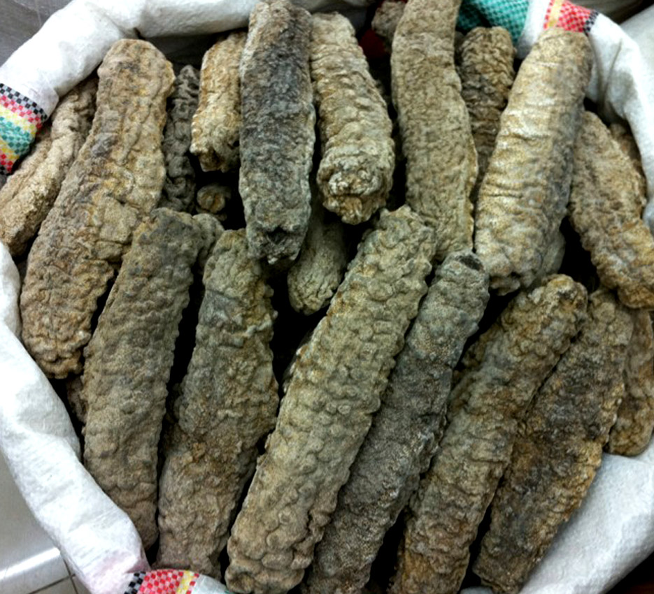 澳洲海参梅花公参进口野生海参淡干货深海无糖非大连即食海产品|ruв категории водной мясо/свежие фрукты и овощи/еда, морепродукты/водные продукты/изделия, трепанги - от Buy2taobao.com для оказания профессиональной услуги покупки агента Taobao
