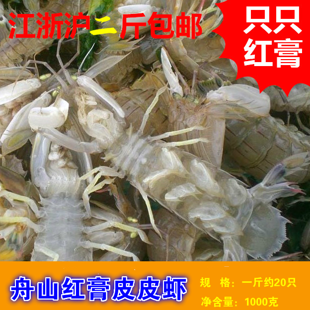 漁博士皮皮蝦蝦蛄富貴蝦爬蝦濑尿蝦新鮮鮮活孕婦折扣水産品野生在類目 水產肉類/新鮮蔬果/熟食, 海鮮/水產品/製品, 蝦類, 活蝦中 - 來自Buy2taobao.com提供專業的淘寶代購服務