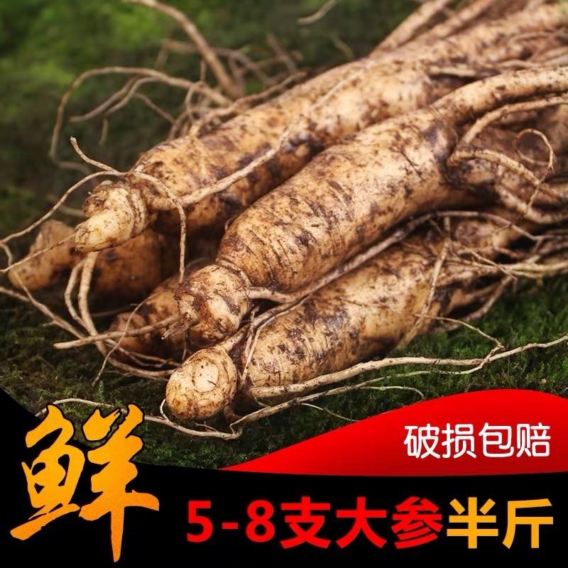 人参新鲜人参长白山人参包邮保鲜参林下参东北特产滋补品煲汤泡酒在类目 传统滋补营养品, 参类滋补品, 人参/园参中 - 来自Buy2taobao.com提供专业的淘宝代购服务