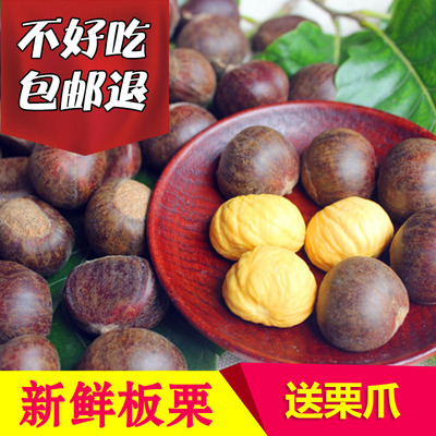 现货】新鲜生栗子 蒙山板栗 板栗生新鲜野生板栗油栗子5斤包邮