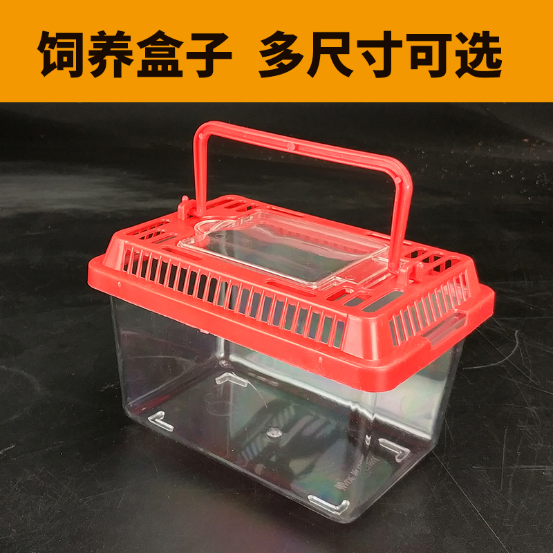 白玉蜗牛饲养盒子 观赏大蜗牛笼子 塑料透明便携盒子学生观赏盒子|ruв категории животное/Животное питание и принадлежностей, других домашних животных, других домашних животных - от Buy2taobao.com для оказания профессиональной услуги покупки агента Taobao