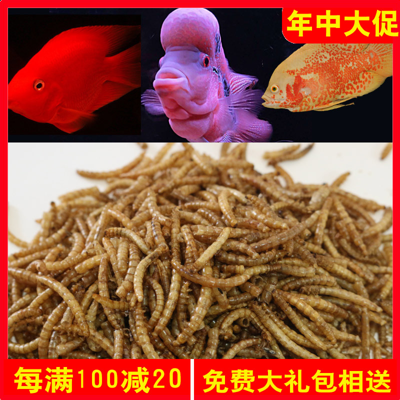 面包虫干黄粉虫干营养蛋白质仓鼠粮龟粮地图鱼罗汉鱼龙鱼鱼饲料|ruв категории животное/Животное питание и принадлежностей, аквариум мира, декоративные рыбы кормов - от Buy2taobao.com для оказания профессиональной услуги покупки агента Taobao