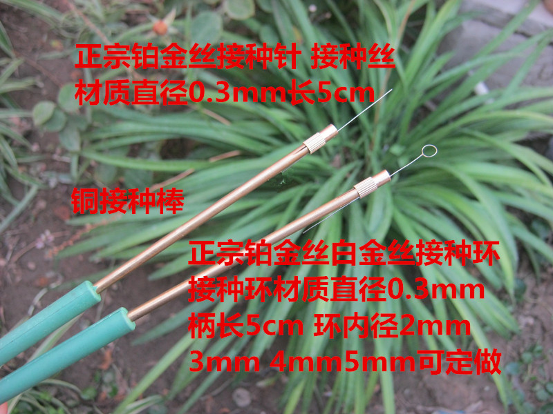 正宗铂金丝 白金丝接种棒微生物接种针接种环焰色反应实验器材在类目 办公设备/耗材/相关服务, 其它耗材, 其它中 - 来自Buy2taobao.com提供专业的淘宝代购服务