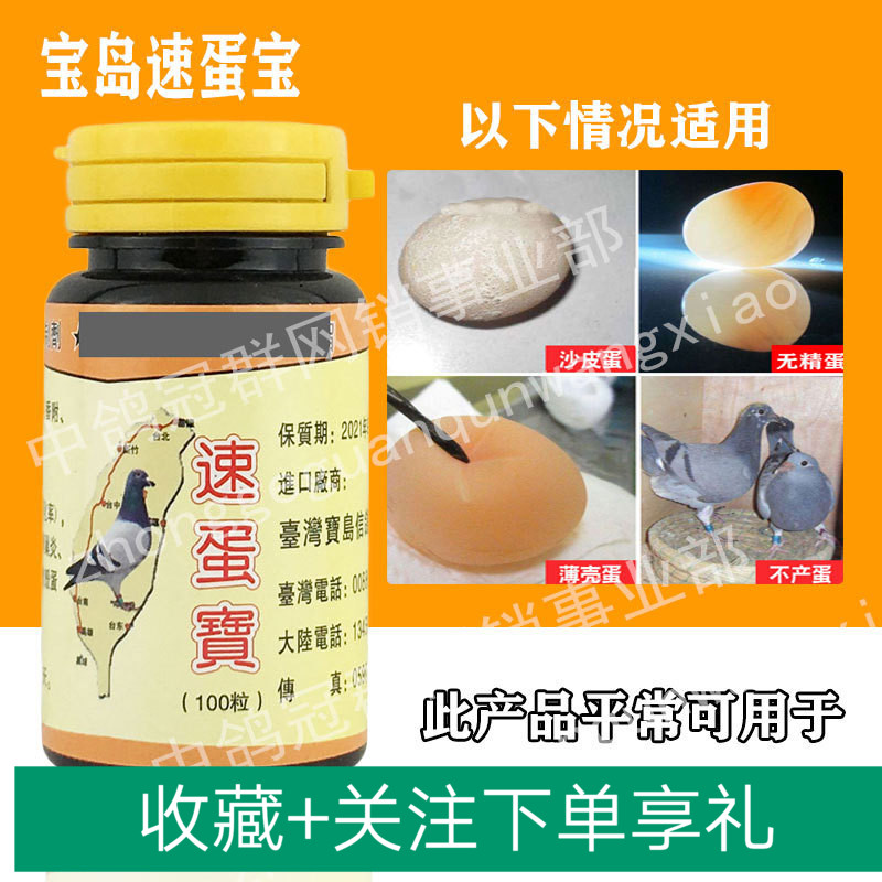 台湾宝岛速蛋宝100粒雌雄鸽症雌雄宝通用无精蛋种鸽不下蛋包邮|msdalam kategori haiwan peliharaan/makanan haiwan dan bekalan, Burung dan bekalan, Peralatan burung (baru), feeder - dari Buy2taobao.com untuk memberikan perkhidmatan ejen Taobao profesional membeli