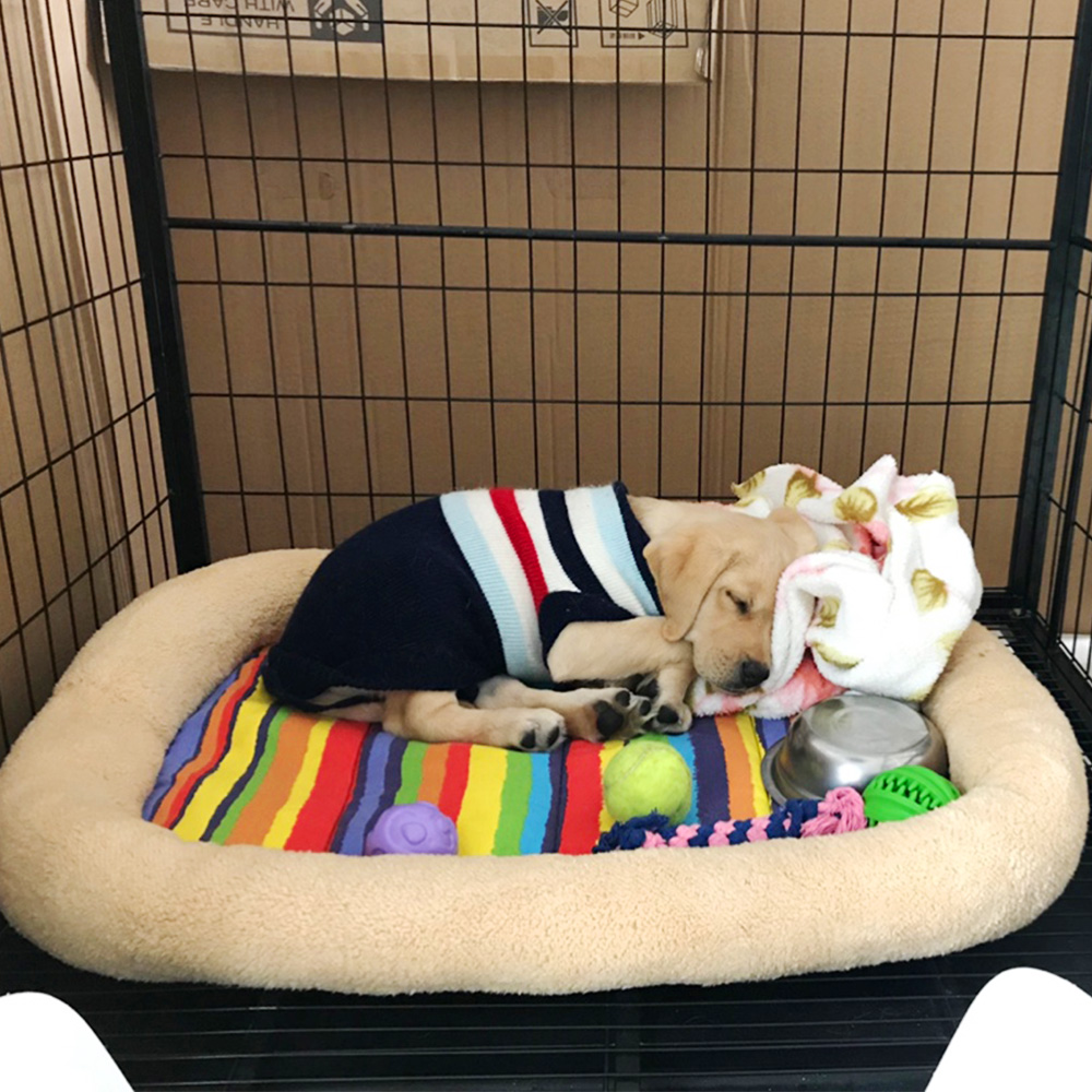 狗狗垫子宠物窝垫猫咪垫床垫狗笼垫泰迪比熊吉娃娃小鹿犬狗窝冬季在类目 宠物/宠物食品及用品, 猫/狗日用品, 床/垫/沙发(新), 床中 - 来自Buy2taobao.com提供专业的淘宝代购服务