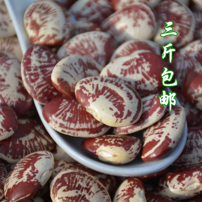 农家自产 新鲜荷包豆大粒肾豆干斑马豆状元豆花芸豆种子 杂粮500g|msdalam kategori beras/Utara-Selatan barangan kering/perasa, meter/tepung/bijirin, Beans, lain - dari Buy2taobao.com untuk memberikan perkhidmatan ejen Taobao profesional membeli