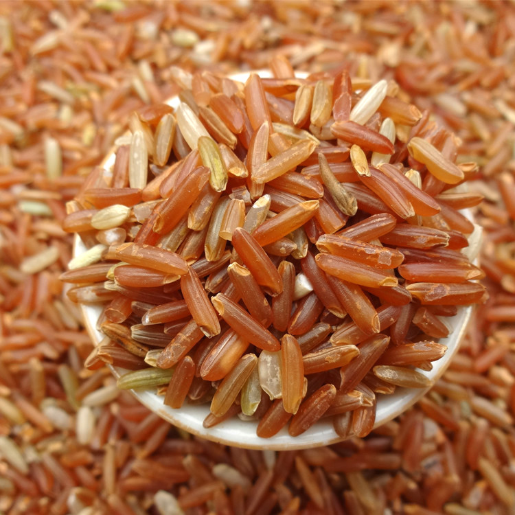 new goods Farm Red rice Red Brown Production natural Red Rice Healthy Whole grains Coarse grains 500gin the Agri rice/Dried foods/Condiment , Meter/Flour/Grains , Other food category - from Buy2taobao.com to provide professional Taobao agent buy service