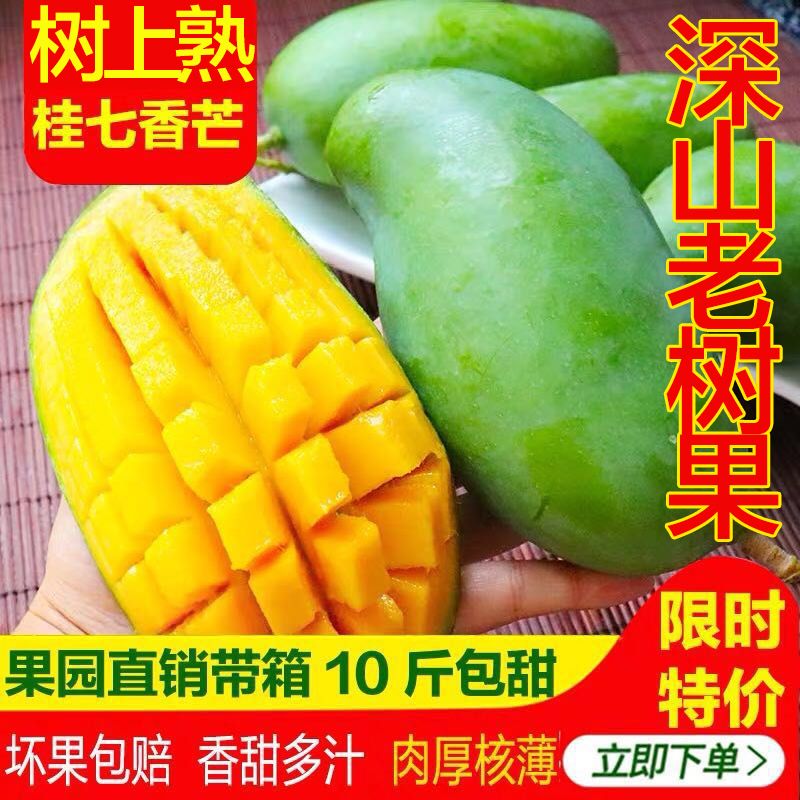 现摘树上熟桂七正宗广西百色田东中桂7新鲜青芒果水果10斤包邮在类目 水产肉类/新鲜蔬果/熟食, 新鲜水果, 芒果中 - 来自Buy2taobao.com提供专业的淘宝代购服务