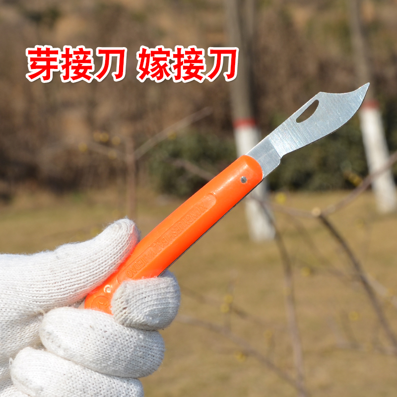 果树嫁接刀剪 芽接刀 手工嫁接刀削木接树刀果树嫁接园艺嫁接工具|msdalam kategori penghantaran bunga/bunga simulasi/tumbuhan berkebun, Gardening Supplies, berkebun/pisau/Shears/Saw (baru), pisau tunas - dari Buy2taobao.com untuk memberikan perkhidmatan ejen Taobao profesional membeli