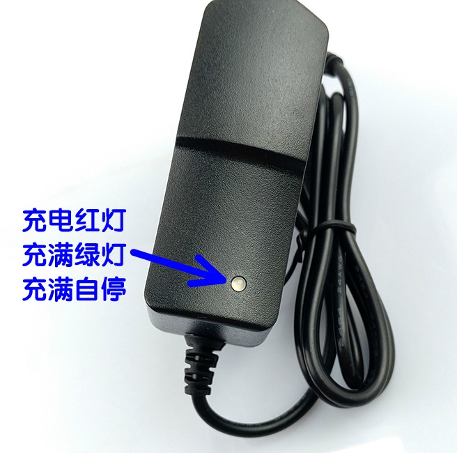48伏锂电池修复器,本店专用,其他的要定做请咨询客服99%可修复|ruв категории электромобиль/аксессуары/транспортных средств, электромобиль оборудования район, электромобиль зарядное устройство - от Buy2taobao.com для оказания профессиональной услуги покупки агента Taobao