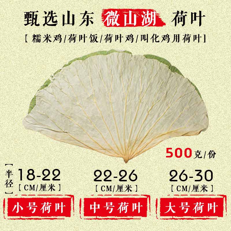 微山湖天然野生整张荷叶茶片干荷叶500克叫花鸡糯米鸡饭大中小号|msdalam kategori makanan berkhasiat tradisional, Ubat-ubatan dan makanan yang boleh dimakan, daun Lotus - dari Buy2taobao.com untuk memberikan perkhidmatan ejen Taobao profesional membeli