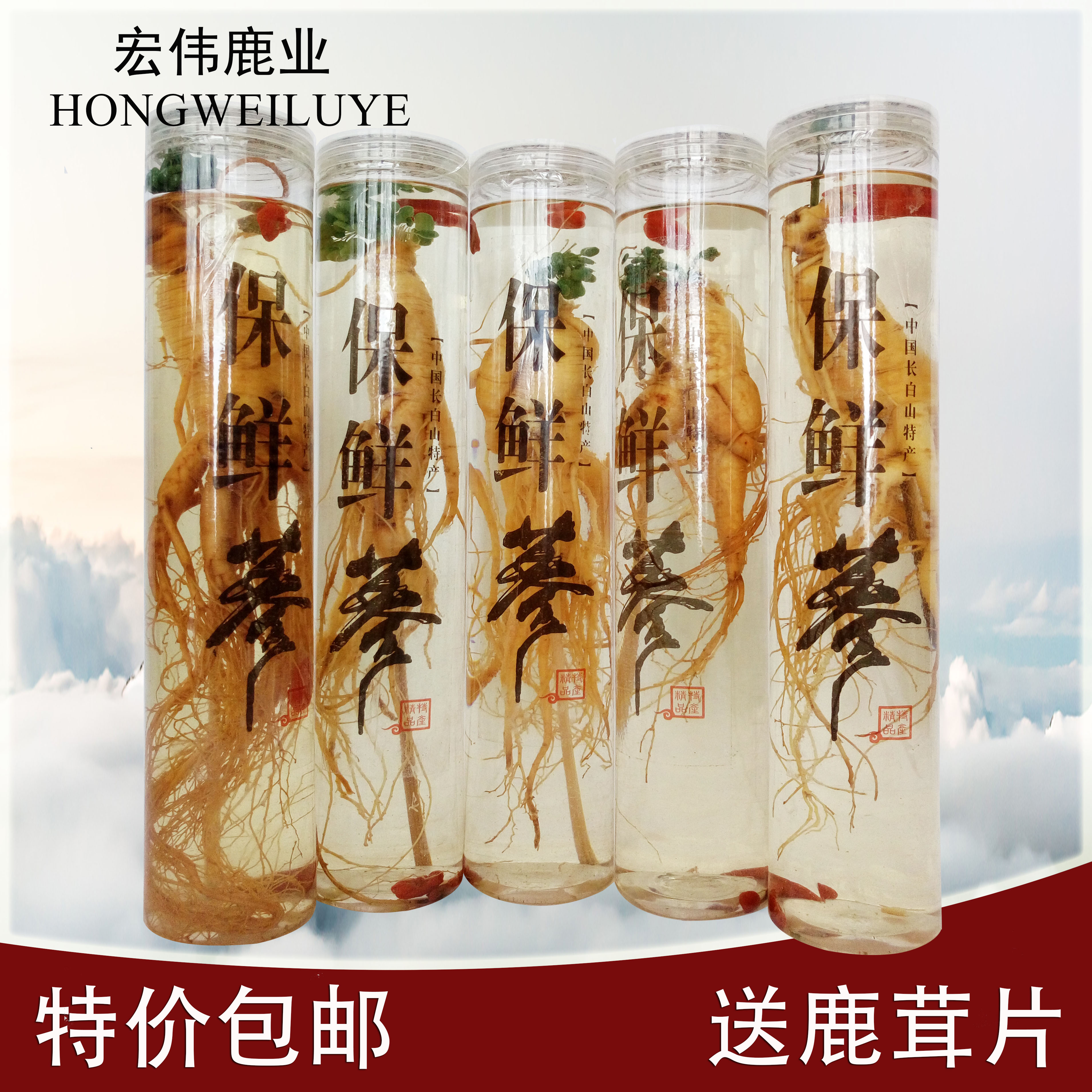 长白山人参保鲜参鲜参瓶装白参泡酒大人参林下参山参礼盒特价包邮|ruв категории традиционные питательный пища, женьшень класса тоник, женьшень/женьшень - от Buy2taobao.com для оказания профессиональной услуги покупки агента Taobao