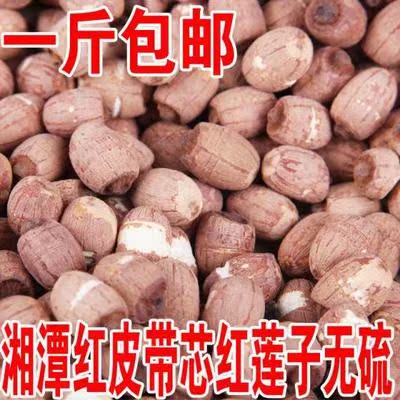 HL sub new goods Farm HL sub 500 Ke You Xin Xiang Lian Green Core dried food Three-inch lotusin the Agri rice/Dried foods/Condiment , Dried foods/Meat Dry , Dry/Native , Lotus category - from Buy2taobao.com to provide professional Taobao agent buy service