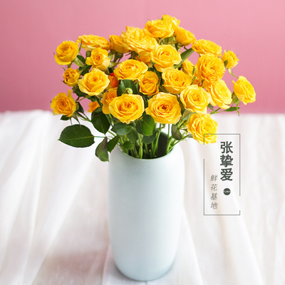 昆明鲜花批发云南基地直发多头玫瑰鲜切花直批直供家用插花水养|msdalam kategori penghantaran bunga/bunga simulasi/tumbuhan berkebun, penghantaran bunga (bandar) - dari Buy2taobao.com untuk memberikan perkhidmatan ejen Taobao profesional membeli