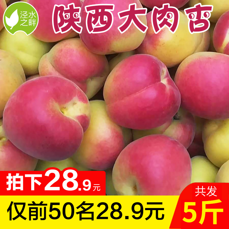 陕西太平杏5斤包邮现摘现发孕妇金太阳杏子酸甜时令水果新鲜带箱在类目 水产肉类/新鲜蔬果/熟食, 新鲜水果, 其它中 - 来自Buy2taobao.com提供专业的淘宝代购服务