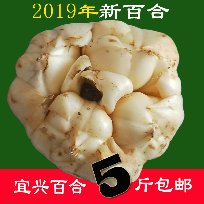 鲜百合19年现挖宜兴百合土特产5斤25只左右礼盒装非兰州甜百合干在类目 粮油米面/南北干货/调味品, 南北干货/肉类干货, 干货/土特产, 百合干中 - 来自Buy2taobao.com提供专业的淘宝代购服务
