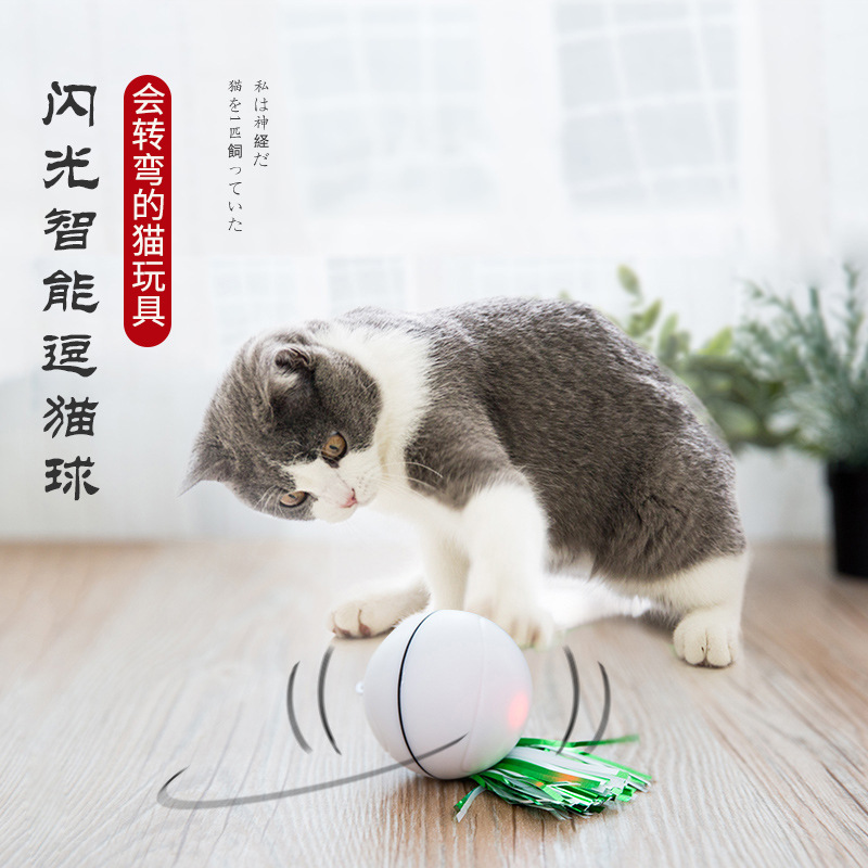 LED滚动闪光智能逗猫球抖音同款 蓝猫闪亮咪咪球会转弯的猫咪玩具|ruв категории животное/Животное питание и принадлежностей, кошка/собака игрушка, звучание игрушка - от Buy2taobao.com для оказания профессиональной услуги покупки агента Taobao