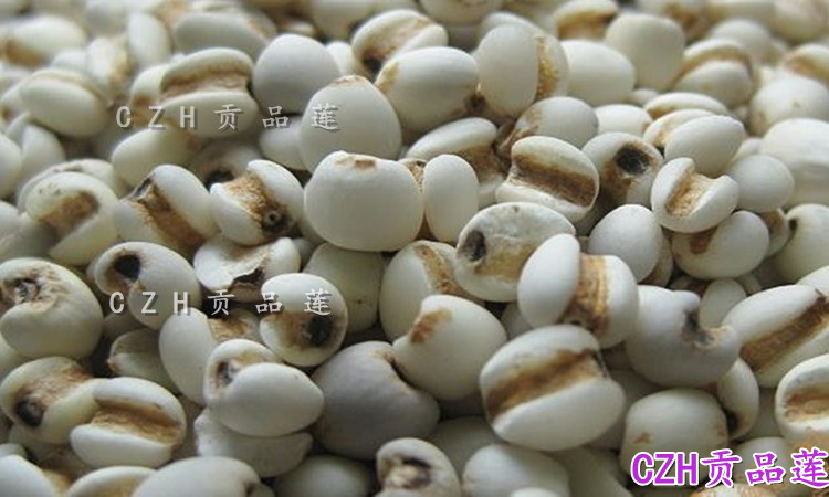 促销农家新货精选 苡米 优质 小薏仁米香糯 薏米仁500克 包邮团购|msdalam kategori beras/Utara-Selatan barangan kering/perasa, meter/tepung/bijirin, RICE, Barley - dari Buy2taobao.com untuk memberikan perkhidmatan ejen Taobao profesional membeli