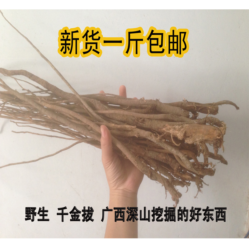 wild Jin Daughter A root Mouse Hitching post Taurus cut off 500gin the Traditional nourishing food , Medicinal and Edible Food , Other Medicinal and Edible Food category - from Buy2taobao.com to provide professional Taobao agent buy service
