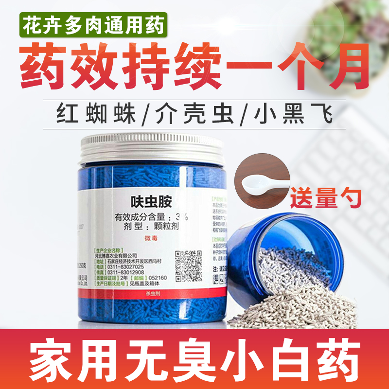 仙葩小白药喷剂多肉土壤杀菌剂颗粒剂蚧壳虫蚜虫小黑飞杀虫剂包邮在类目 鲜花速递/花卉仿真/绿植园艺, 园艺用品, 花卉药剂中 - 来自Buy2taobao.com提供专业的淘宝代购服务