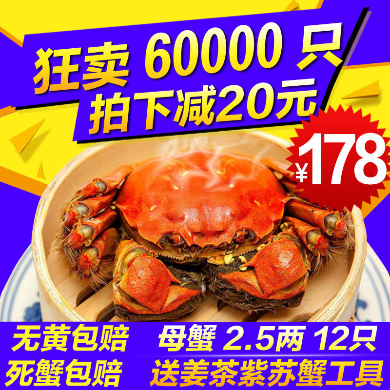 【现货多送4只】阳澄湖大闸蟹 鲜活大螃蟹 全母2.5两 8只礼盒装