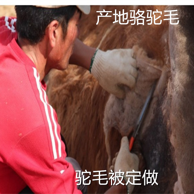 驼毛|驼毛正品|驼毛被子|驼绒被|春秋夏凉被|天然驼毛定做被子在类目 床上用品, 床品定制/定做(新), 被子/被芯定制中 - 来自Buy2taobao.com提供专业的淘宝代购服务