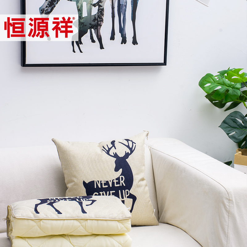 hyz Dual use sofa Pillow Bedside automobile Cushion Office Siesta pillow chair backrest Cartoon Cushionin the Home Fabric , Pillow/Pillow category - from Buy2taobao.com to provide professional Taobao agent buy service