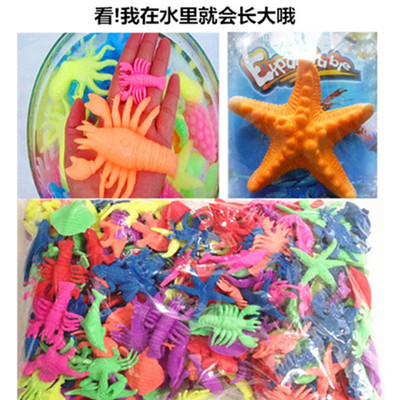 海绵宝宝海洋动物膨胀泡水变大珠吸水珠长大生长球水晶泥儿童玩具
