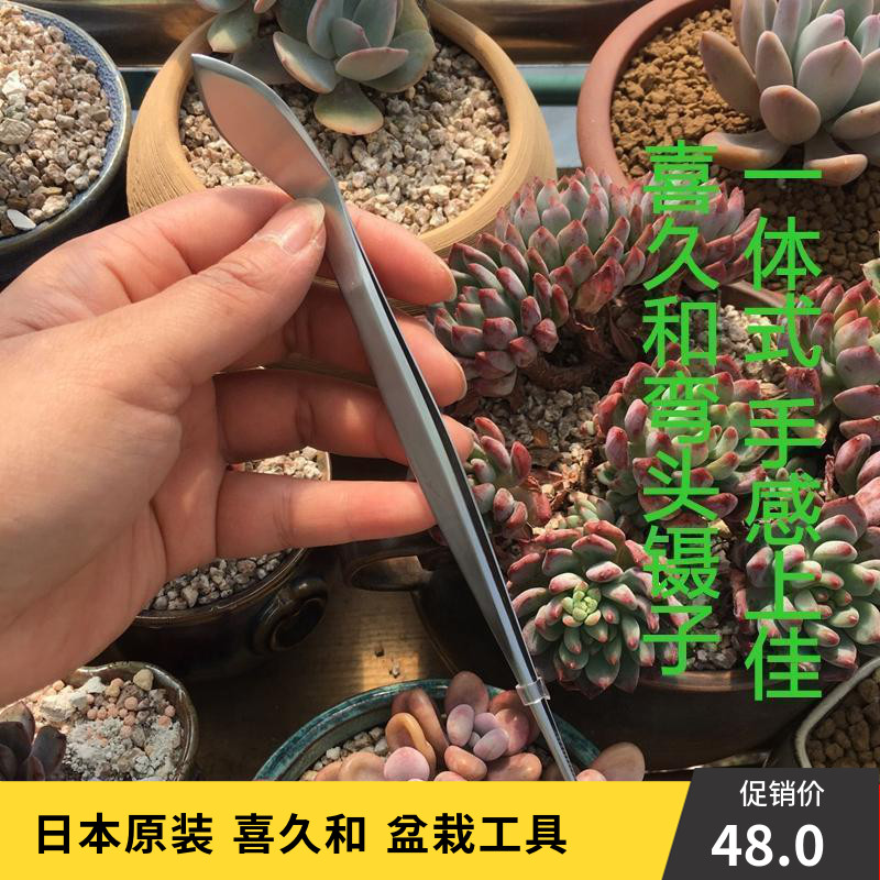 喜久和 日本产 优质盆栽工具 两用镊子 18CM 小品多肉用 弯头现货|msdalam kategori penghantaran bunga/bunga simulasi/tumbuhan berkebun, Gardening Supplies, Peralatan Perkebunan lain - dari Buy2taobao.com untuk memberikan perkhidmatan ejen Taobao profesional membeli