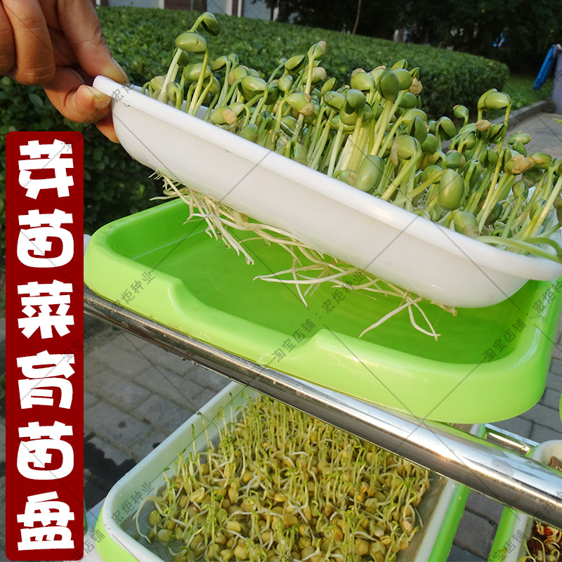 育苗盆套餐芽苗菜種子 無土種植育苗盆蘿蔔小麥黃豆芽苗菜種子在類目 鮮花速遞/花卉仿真/綠植園藝, 園藝用品, 育苗盤/營養鉢中 - 來自Buy2taobao.com提供專業的淘寶代購服務