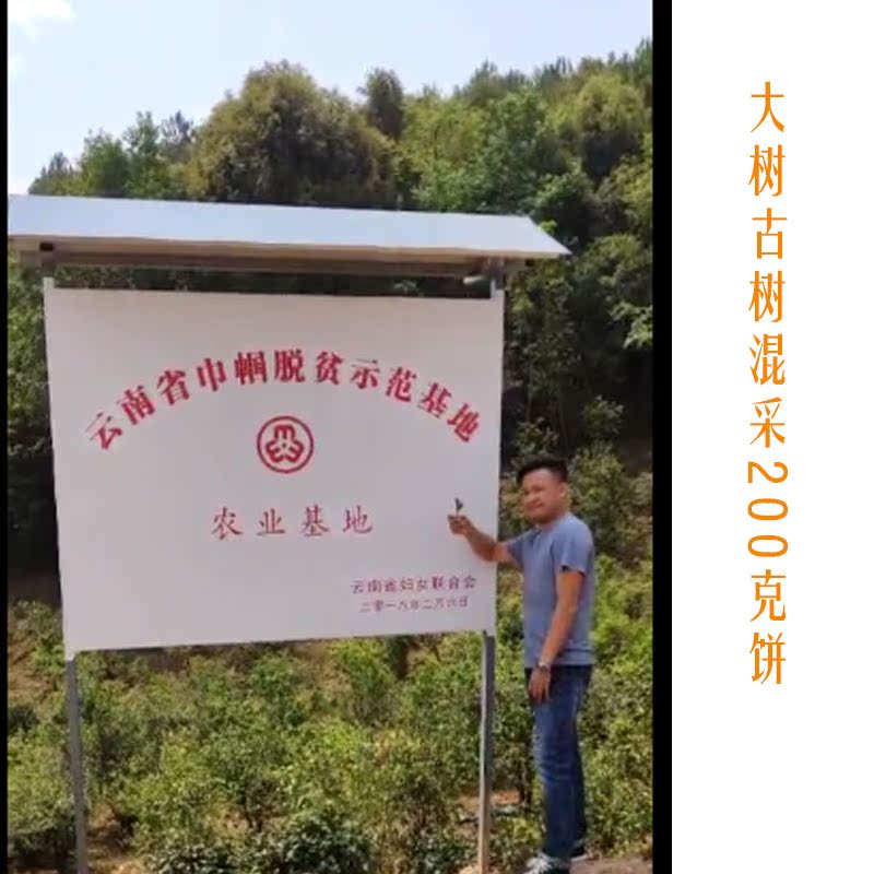 Big tree Ancient trees Raw tea cake 200 gramin the Tea , Pu'er category - from Buy2taobao.com to provide professional Taobao agent buy service
