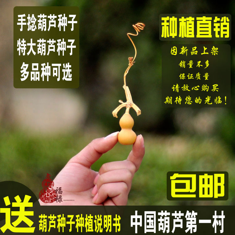 包邮微型手捻小葫芦种子美国葫芦籽阳台观赏大葫芦种子草李金精品|msdalam kategori Ciri-ciri kraftangan, kesenian rakyat dan kraf Ciri-ciri, labu - dari Buy2taobao.com untuk memberikan perkhidmatan ejen Taobao profesional membeli