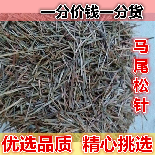 Jiayu Traditional Chinese Medicine Pine needles Pine 500 gram Pine needle Pine needlesin the Traditional nourishing food , Health tea category - from Buy2taobao.com to provide professional Taobao agent buy service