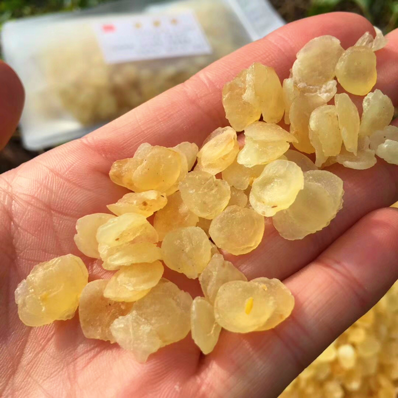1 pounds Cassia meters Yunnan wild 500g Premium Genuine natural Xueyan Peach gum Tremella combinationin the Traditional nourishing food , Other traditional tonic , Cassia meters category - from Buy2taobao.com to provide professional Taobao agent buy service