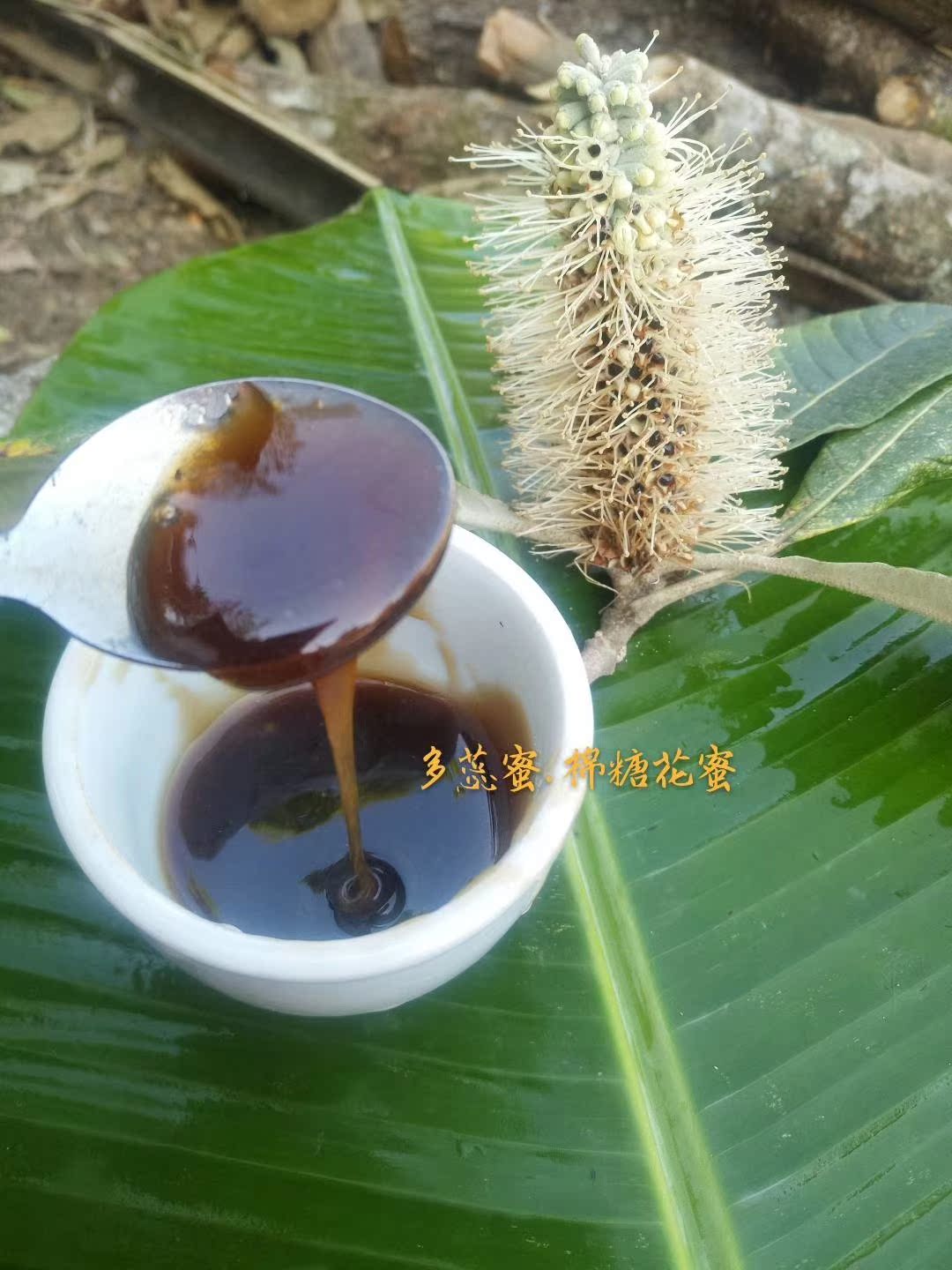 云南老山土蜂蜜纯正天然农家自产黑花蜜花源野生瓶包装500克包邮|msdalam kategori makanan berkhasiat tradisional, madu - dari Buy2taobao.com untuk memberikan perkhidmatan ejen Taobao profesional membeli