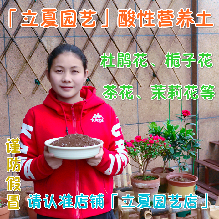 立夏花园酸性营养土杜鹃花专用土栀子花茉莉花茶花三角梅专用肥料在类目 鲜花速递/花卉仿真/绿植园艺, 园艺用品, 家庭园艺肥料/营养土/营养液中 - 来自Buy2taobao.com提供专业的淘宝代购服务