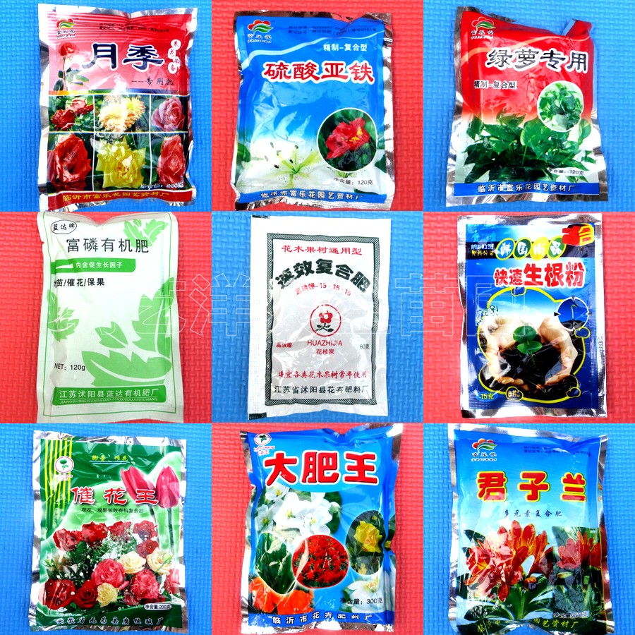 Clivia Expected to spend King Green leaf Wang Hui1 Green plant Potted plant Vegetables currency Organic reunite within the Flower delivery/Flowers simulation/Plants gardening , Gardening supplies , Gardening Fertilizer/Nutrient/Nutrient solution category - from Buy2taobao.com to provide professional Taobao agent buy service